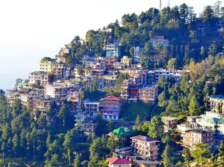Shimla