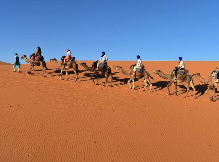 Desert Adventure & Safari Tour Desert Adventure & Safari Tour
