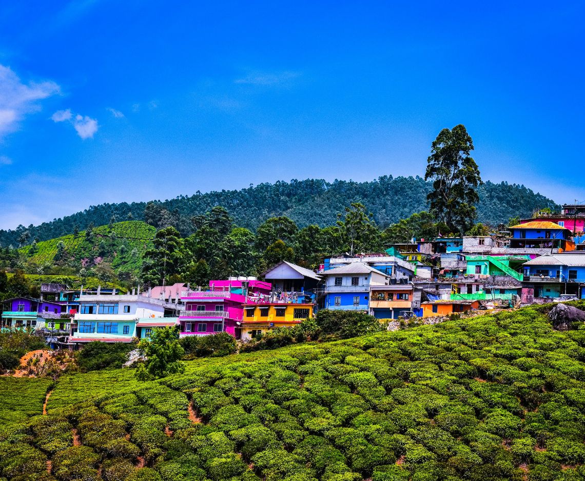 Special Offer for Kerala